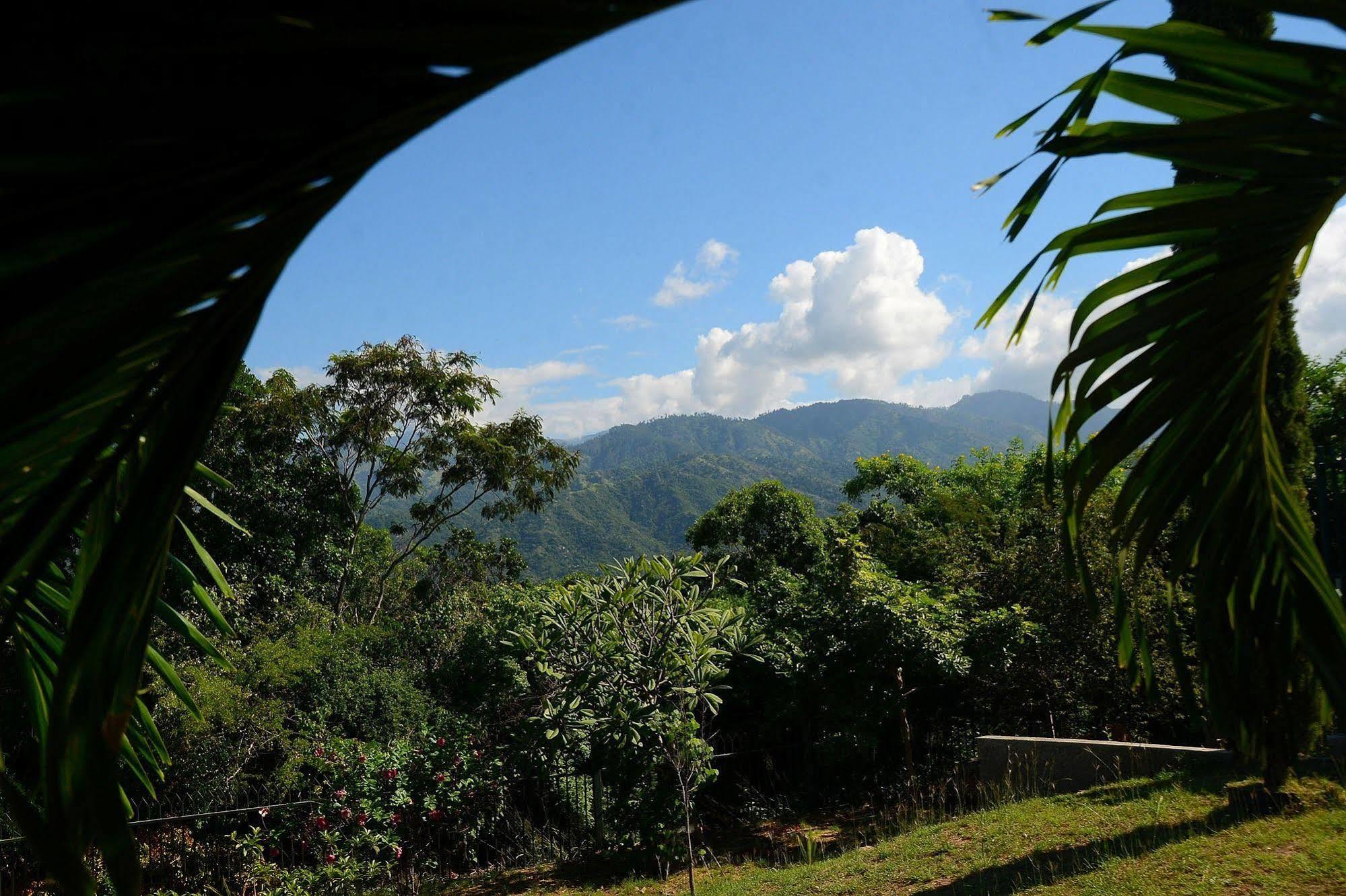 The Cabin At Long Mountain Country Club Kingston Ngoại thất bức ảnh